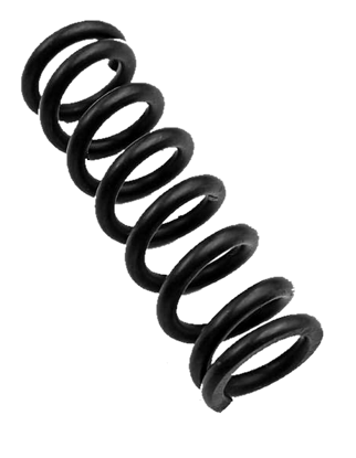 Picture of 4494 SPRING 19*60